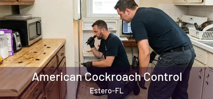 American Cockroach Control Estero-FL