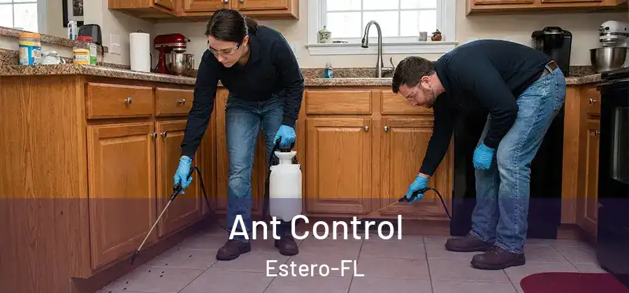 Ant Control Estero-FL