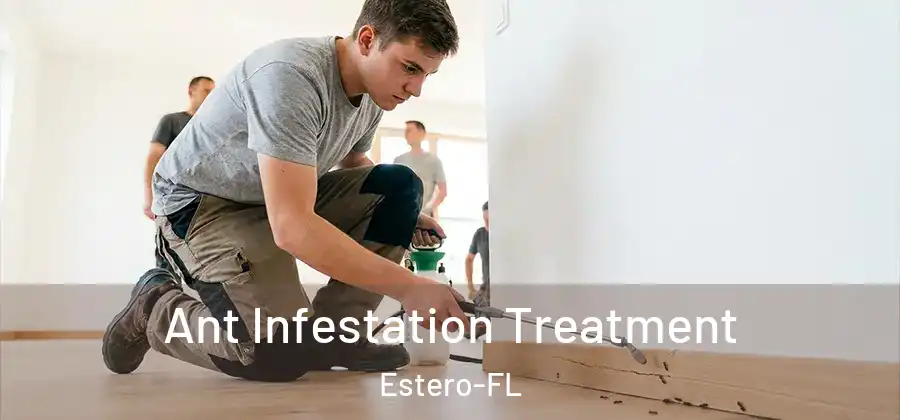  Ant Infestation Treatment Estero-FL