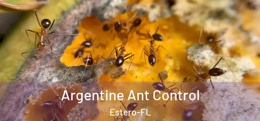 Argentine Ant Control Estero-FL