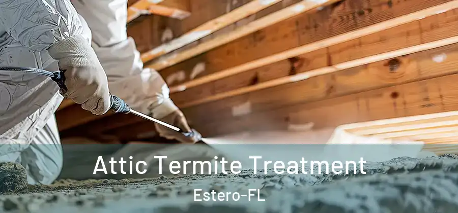  Attic Termite Treatment Estero-FL