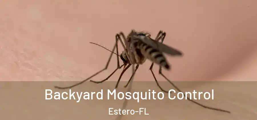  Backyard Mosquito Control Estero-FL