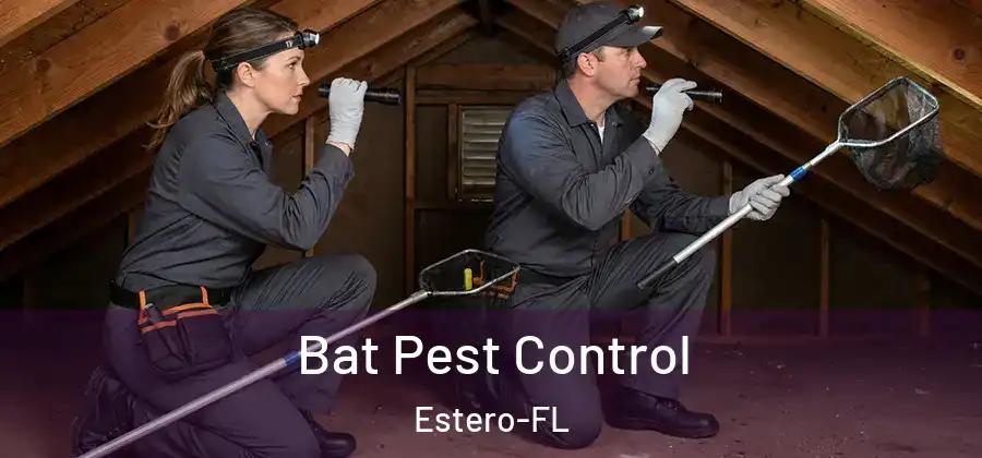 Bat Pest Control Estero-FL