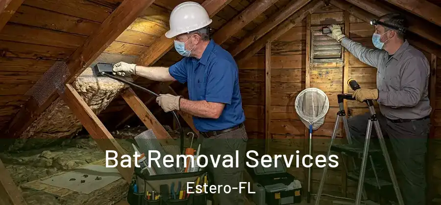 Bat Removal Services Estero-FL