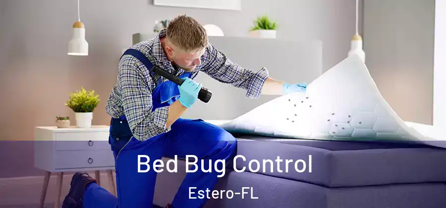 Bed Bug Control Estero-FL