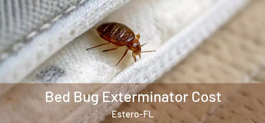  Bed Bug Exterminator Cost Estero-FL