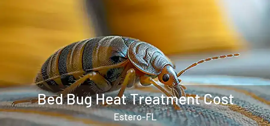 Bed Bug Heat Treatment Cost Estero-FL