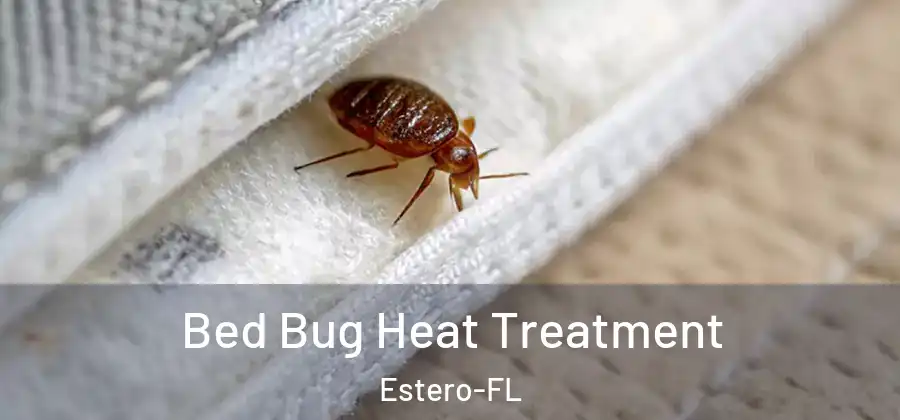  Bed Bug Heat Treatment Estero-FL