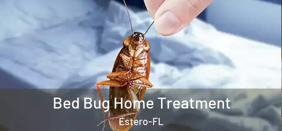  Bed Bug Home Treatment Estero-FL