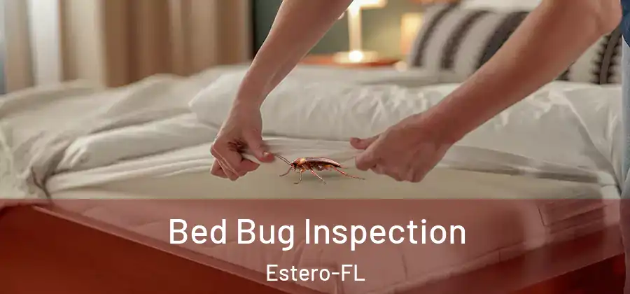  Bed Bug Inspection Estero-FL