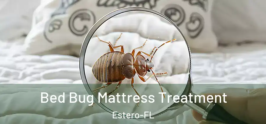  Bed Bug Mattress Treatment Estero-FL