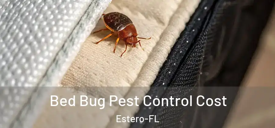  Bed Bug Pest Control Cost Estero-FL