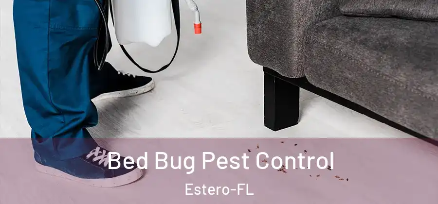 Bed Bug Pest Control Estero-FL