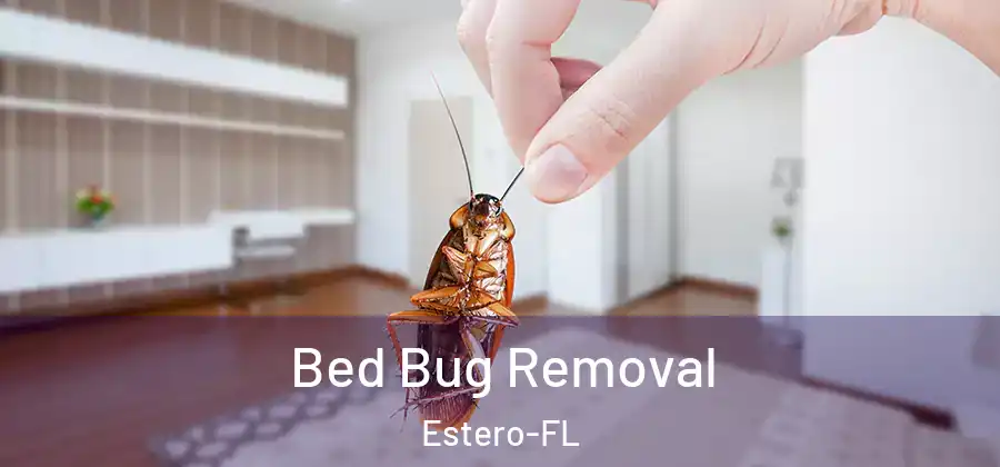 Bed Bug Removal Estero-FL