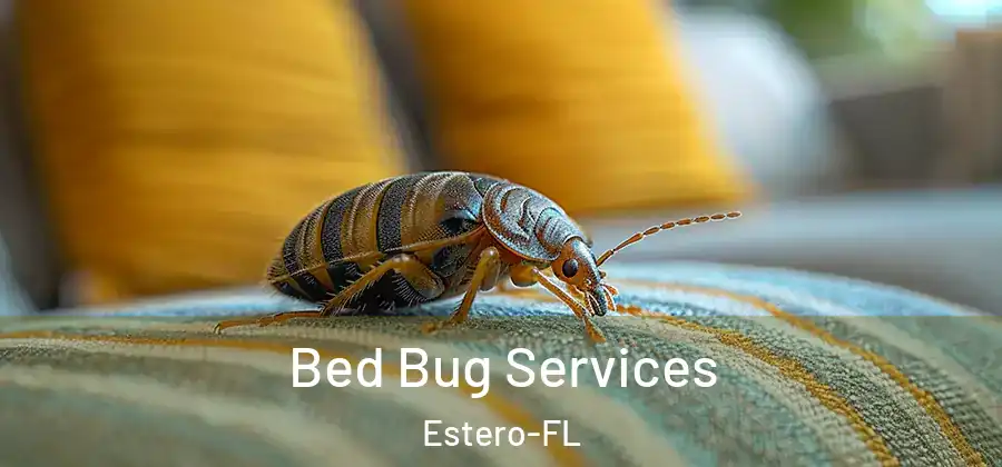 Bed Bug Services Estero-FL