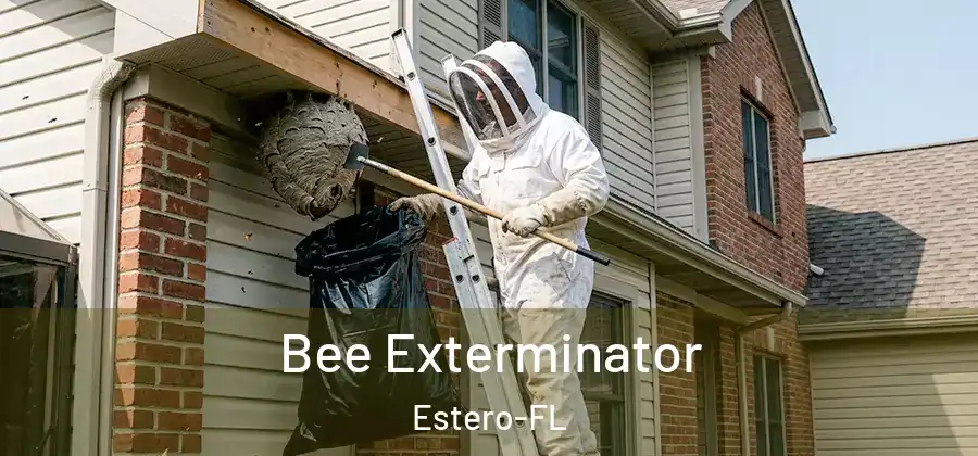 Bee Exterminator Estero-FL
