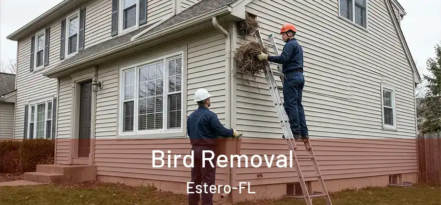 Bird Removal Estero-FL