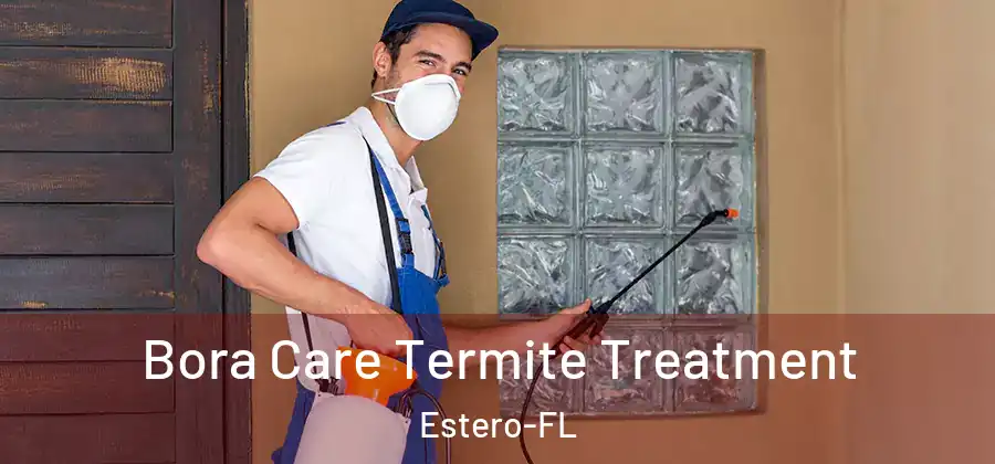 Bora Care Termite Treatment Estero-FL