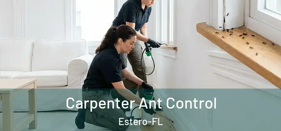  Carpenter Ant Control Estero-FL