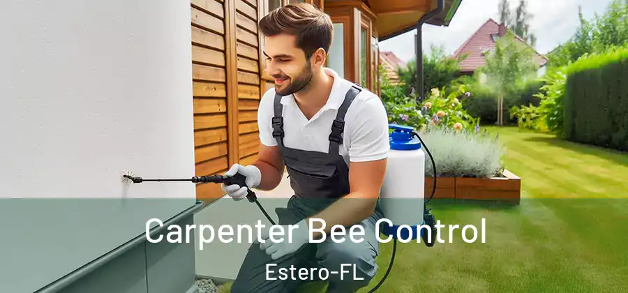  Carpenter Bee Control Estero-FL