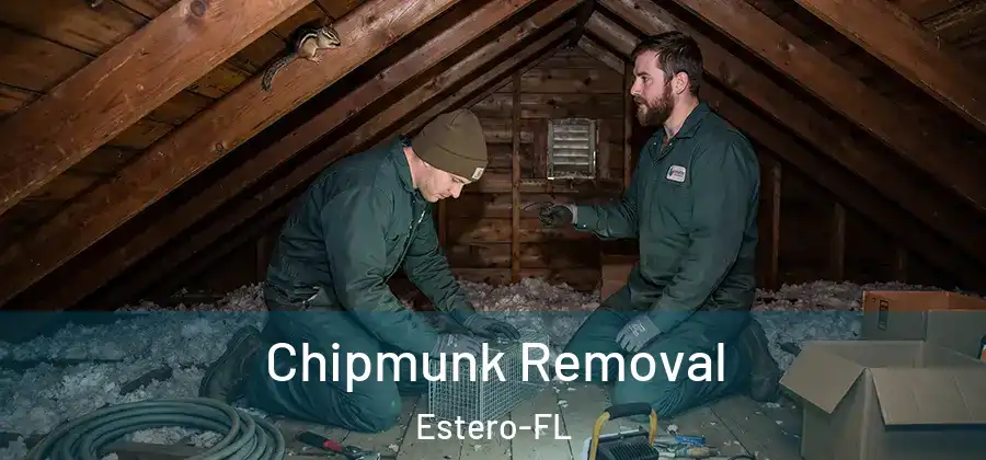  Chipmunk Removal Estero-FL