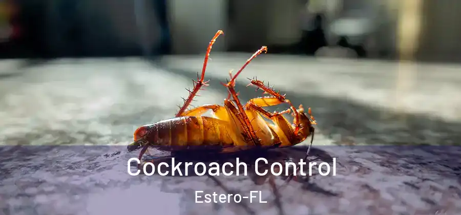 Cockroach Control Estero-FL