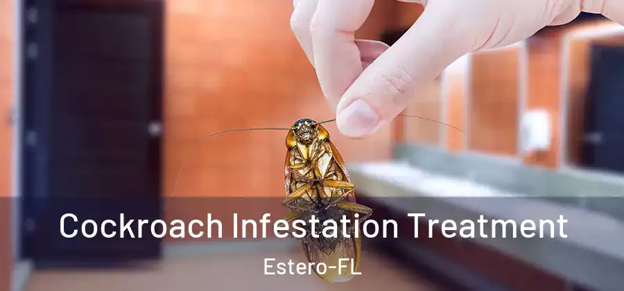  Cockroach Infestation Treatment Estero-FL