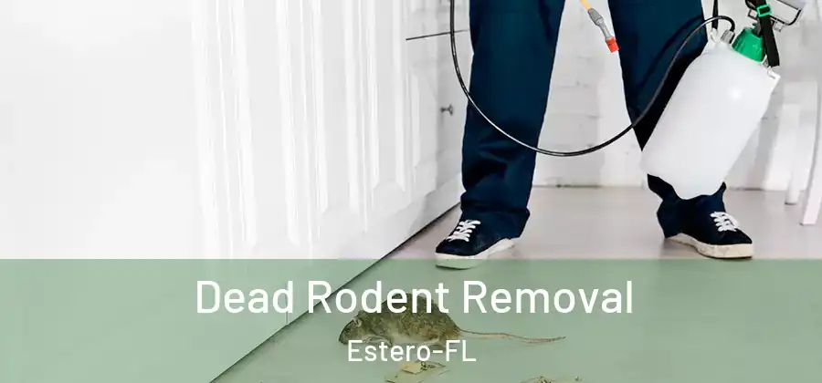  Dead Rodent Removal Estero-FL