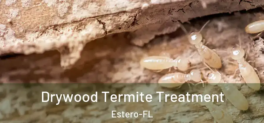 Drywood Termite Treatment Estero-FL