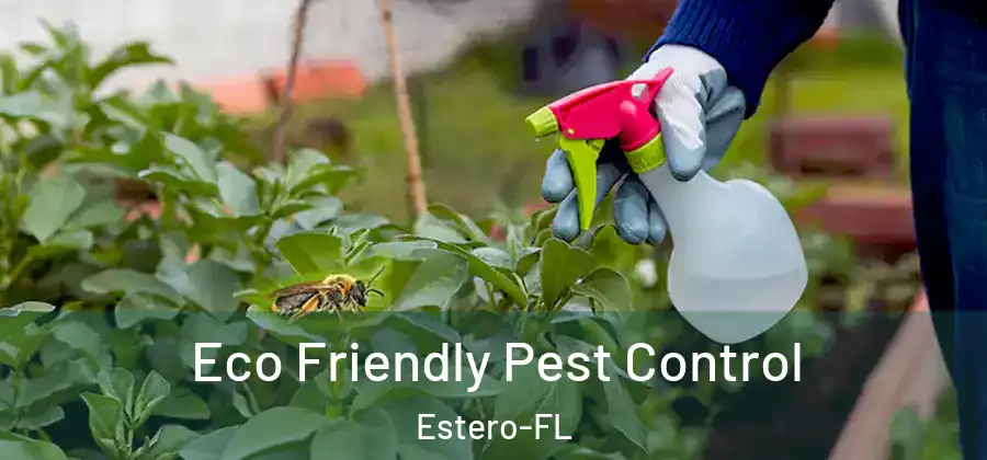  Eco Friendly Pest Control Estero-FL