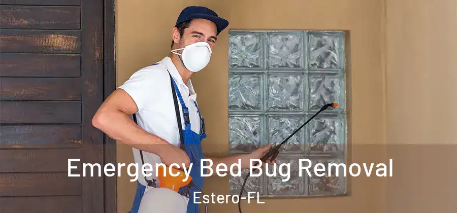  Emergency Bed Bug Removal Estero-FL