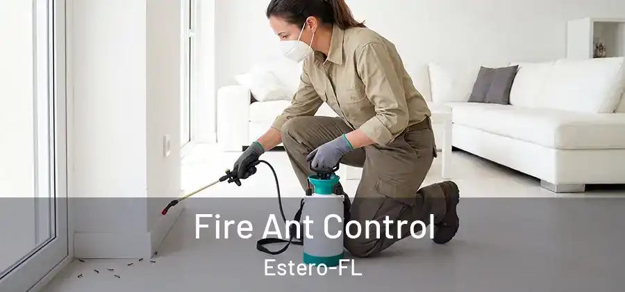 Fire Ant Control Estero-FL