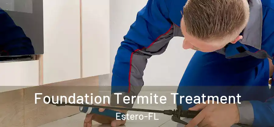  Foundation Termite Treatment Estero-FL