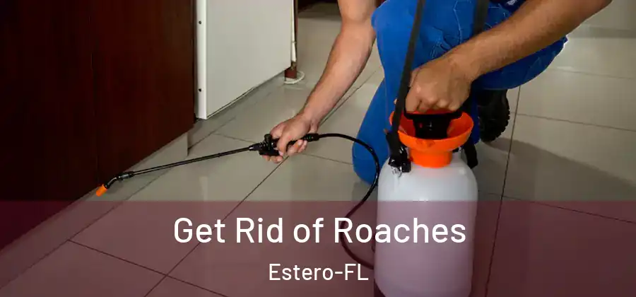 Get Rid of Roaches Estero-FL