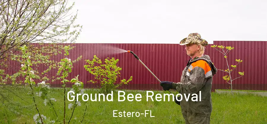  Ground Bee Removal Estero-FL