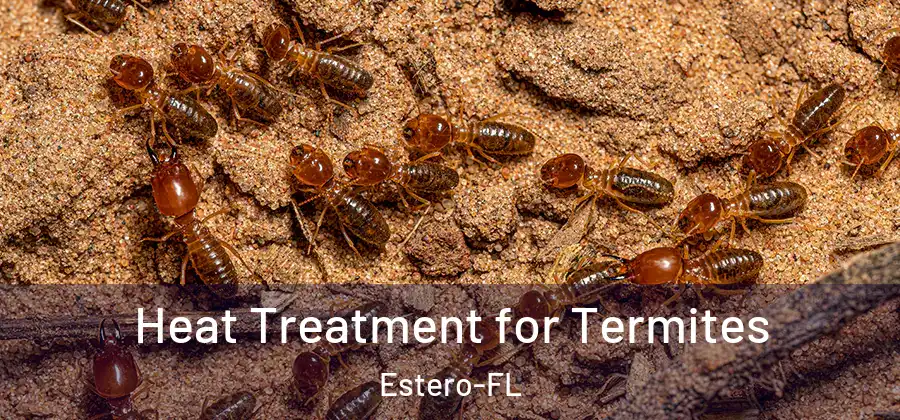  Heat Treatment for Termites Estero-FL