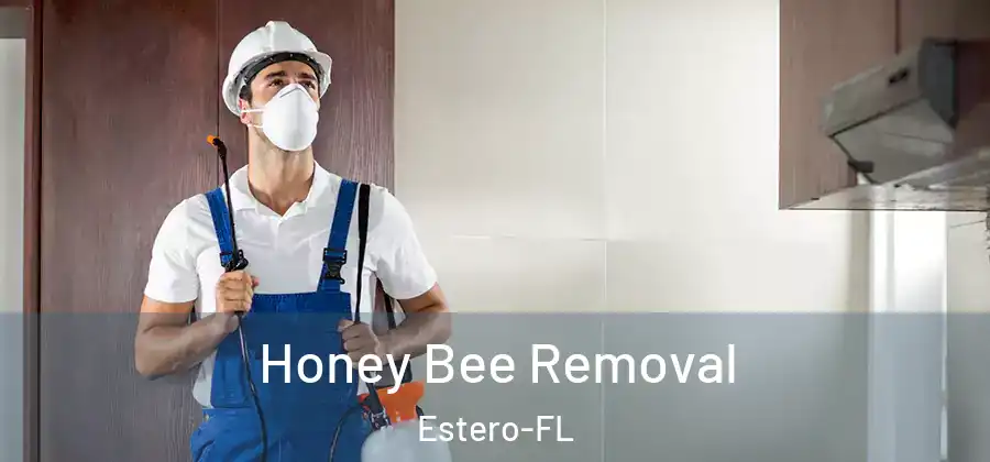 Honey Bee Removal Estero-FL