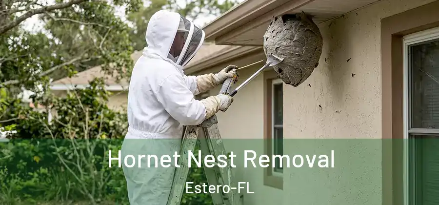 Hornet Nest Removal Estero-FL