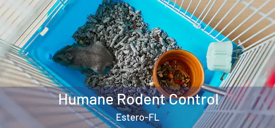 Humane Rodent Control Estero-FL