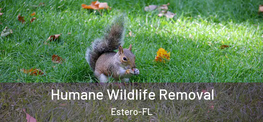  Humane Wildlife Removal Estero-FL