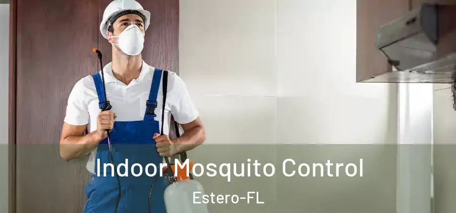 Indoor Mosquito Control Estero-FL