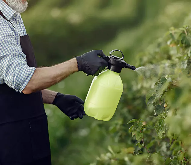 Your Proven Mosquito Treatment Company in Estero, FL