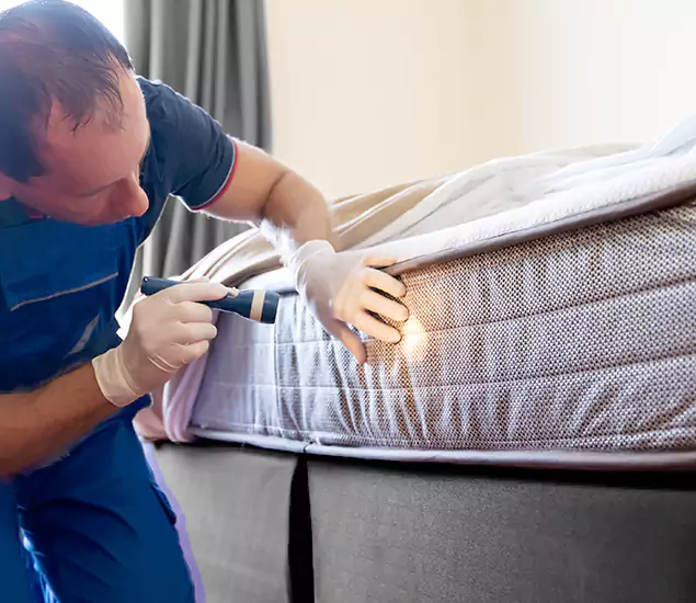 Trusted Bed Bug Cost Experts in Estero, FL