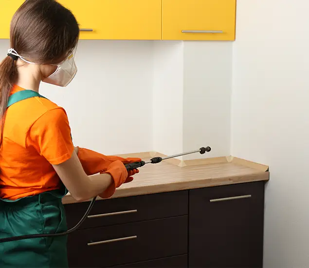 Trusted Bed Bug Pest Control Specialist in Estero, FL