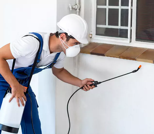 Your Professional Cockroach Exterminator in Estero, FL