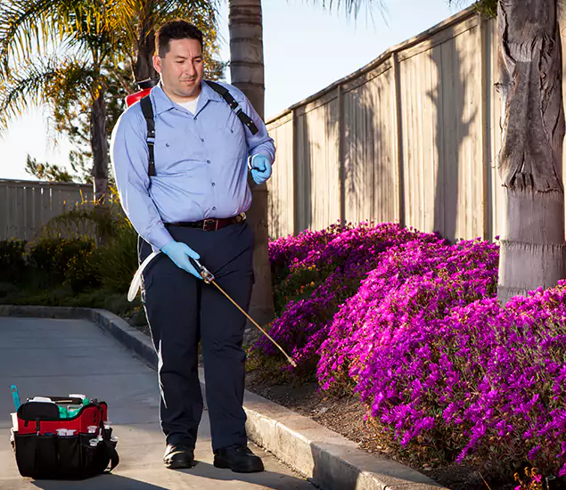 About Our Eco Safe Pest Control Experts in Estero, FL