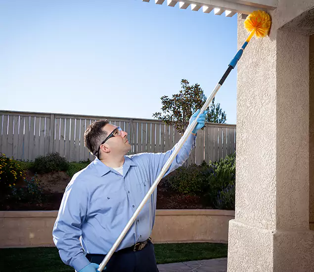 Trusted Experts in Estero FL for Formosan Termite Treatment and Black Termite Control