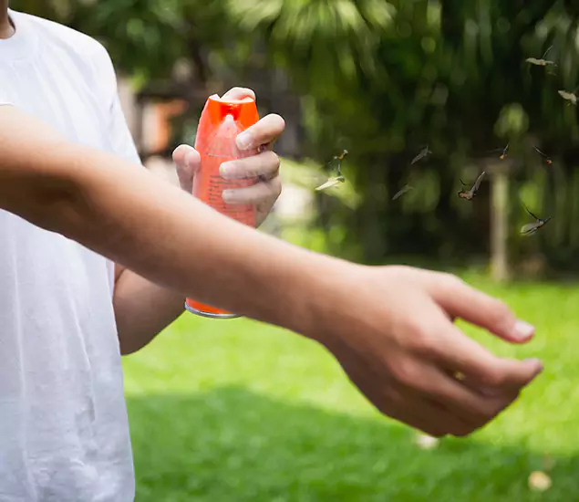 Your Best Indoor Bug Killer Team in Estero, FL