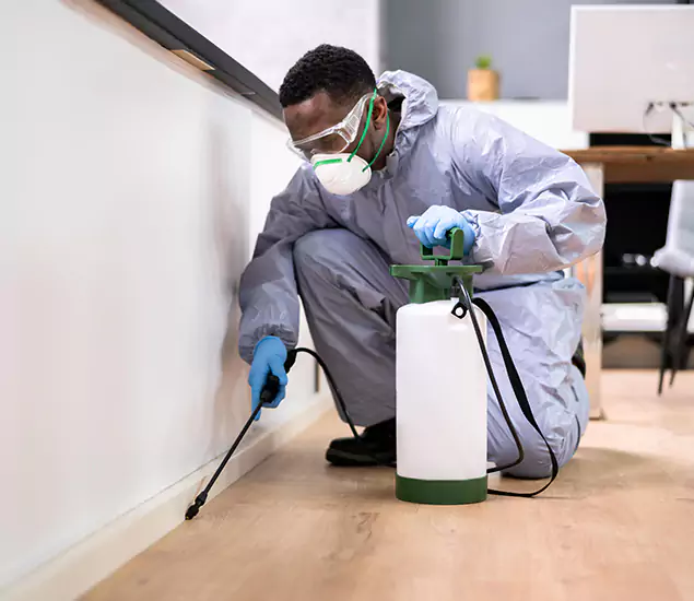 Leading Industrial Pest Control Experts Serving Estero, FL