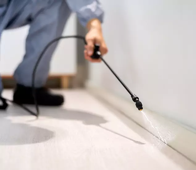 About Our Liquid Termite Treatment Experts in Estero, FL